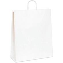 White Paper Shopping Bags