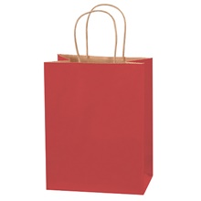 Colored Shopping Bags