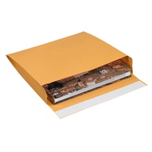 Expandable Self-Seal Envelopes