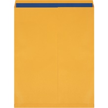 Kraft Jumbo Envelopes