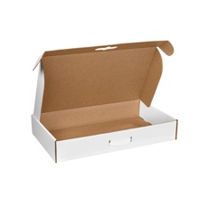 Corrugated Carrying Cases