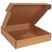 Deluxe Kraft Literature Mailers