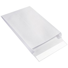 Expandable Ship-Lite® Envelopes