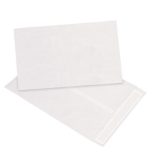 Self-Seal Flat Tyvek® Envelopes